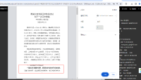系统中打印预览.png