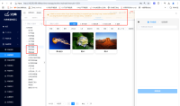 企业微信截图_17322558806877.png